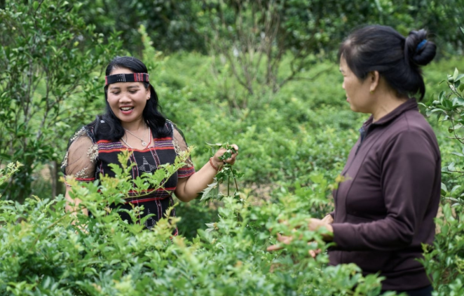 EU empowers women to lead community in green transition